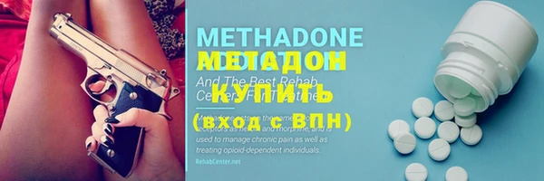 стаф Алзамай