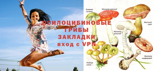 Альфа ПВП Алексеевка