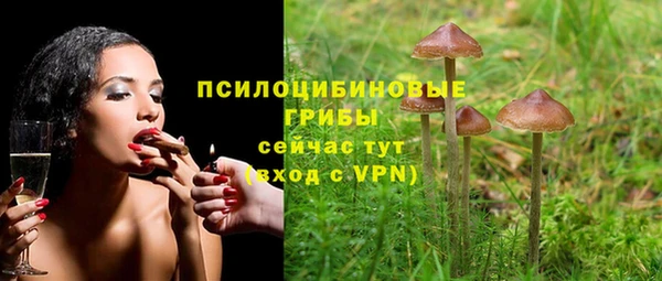шишки Зеленодольск