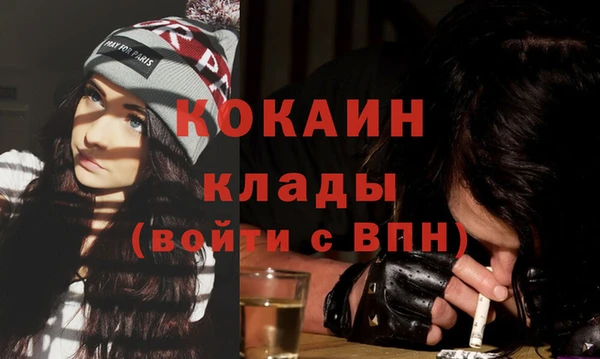 spice Ельня