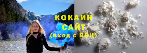 стаф Алзамай