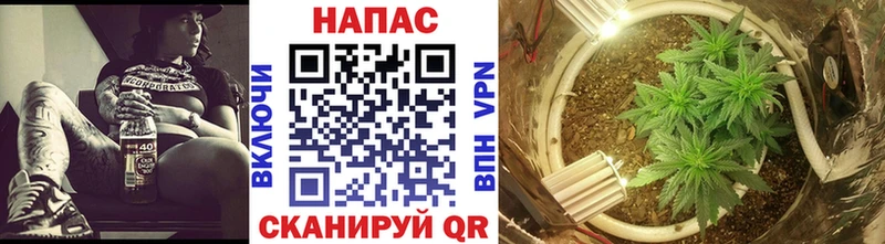 Марихуана конопля  ссылка на мегу зеркало  Алапаевск  купить закладку 